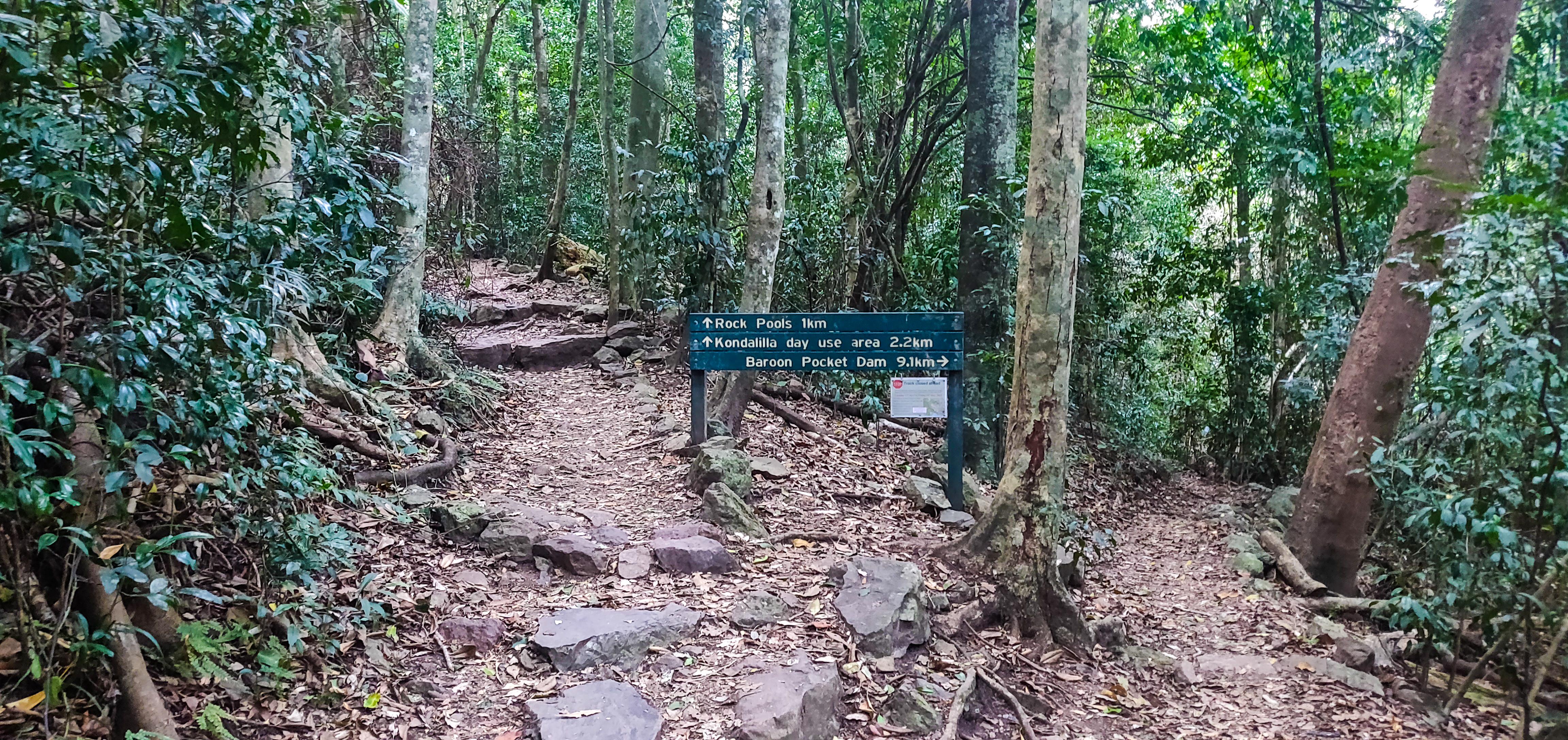 Kondalilla Falls Walking Trail